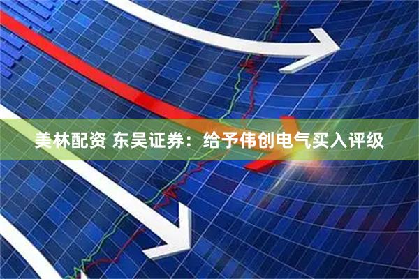 美林配资 东吴证券：给予伟创电气买入评级